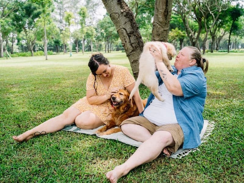 Two women sitting in a park with their dogs, enjoying nature.