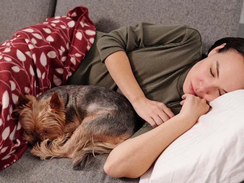 Pet therapy: woman lying on a sofa with her dog.